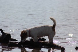 IMG 0400